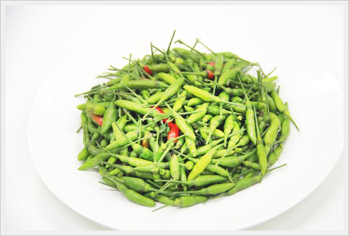 agrothai-018