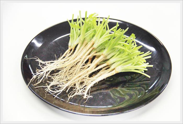 agrothai-026