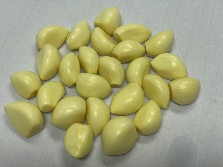 agrothei-union-2